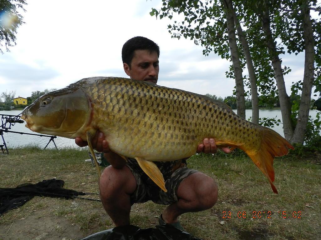 FOTO CARPFISHING - raul-213.JPG